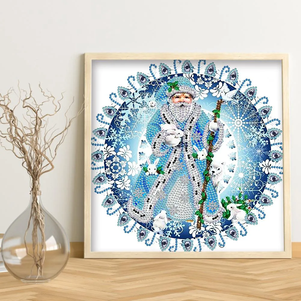 Santa Claus - Special Shaped Drill Diamond Paiting 30*30CM